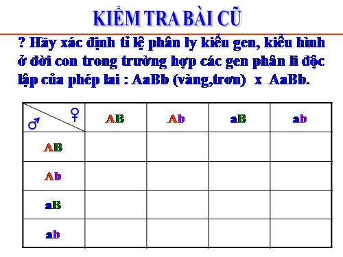 Bài 10. Tương tác gen và tác động đa hiệu của gen