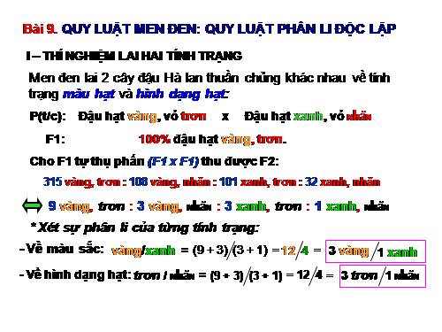 Bài 9. Quy luật Menđen: Quy luật phân li độc lập