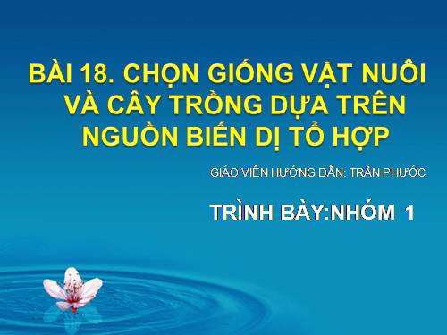 Bài 18. Chọn giống vật nuôi và cây trồng dựa trên nguồn biến dị tổ hợp