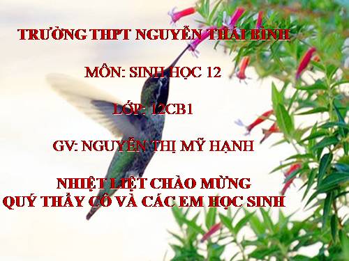 Bài 20. Tạo giống nhờ công nghệ gen