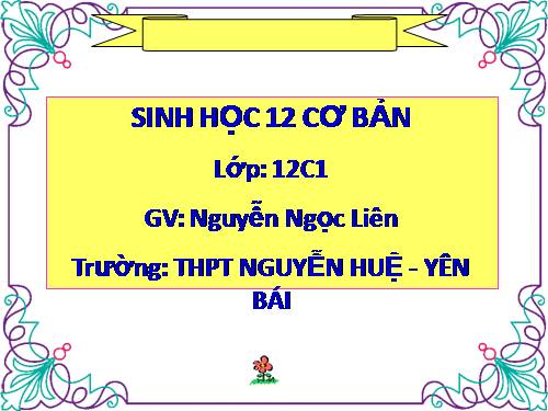 Bài 26. Học thuyết tiến hoá tổng hợp hiện đại