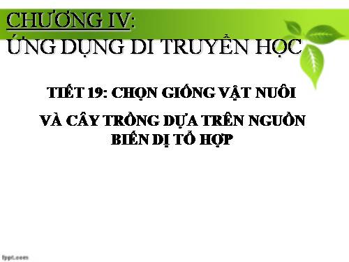 Bài 18. Chọn giống vật nuôi và cây trồng dựa trên nguồn biến dị tổ hợp