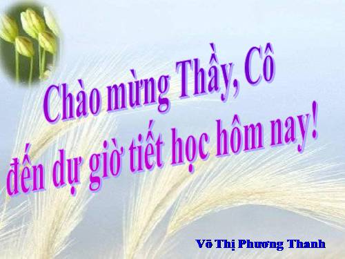 Bài 24. Các bằng chứng tiến hoá