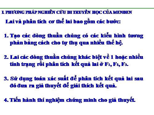 Bài 8. Quy luật Menđen: Quy luật phân li