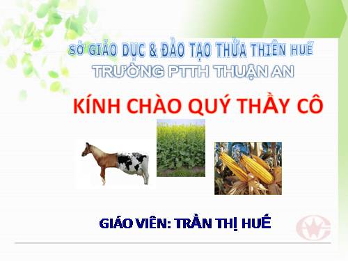 Bài 20. Tạo giống nhờ công nghệ gen