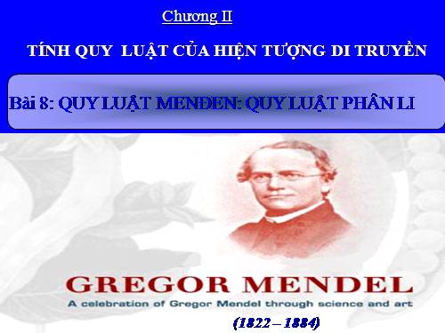 Bài 8. Quy luật Menđen: Quy luật phân li