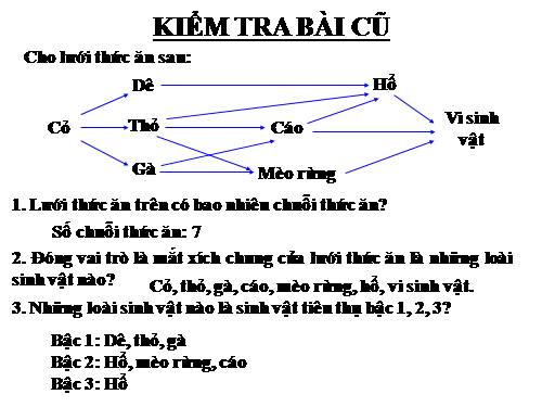 Bài 44. Chu trình sinh địa hóa và sinh quyển