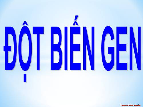 Bài 4. Đột biến gen