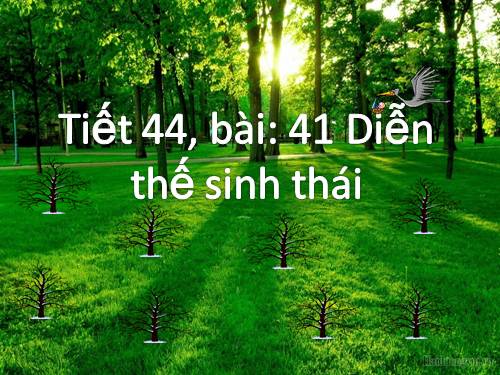 Bài 41. Diễn thế sinh thái