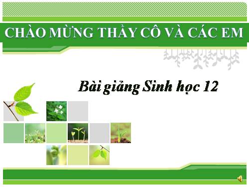 Bài 37. Các đặc trưng cơ bản của quần thể sinh vật