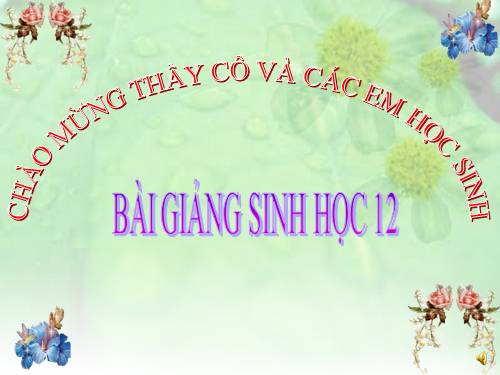 Bài 36. Quần thể sinh vật và mối quan hệ giữa các cá thể trong quần thể