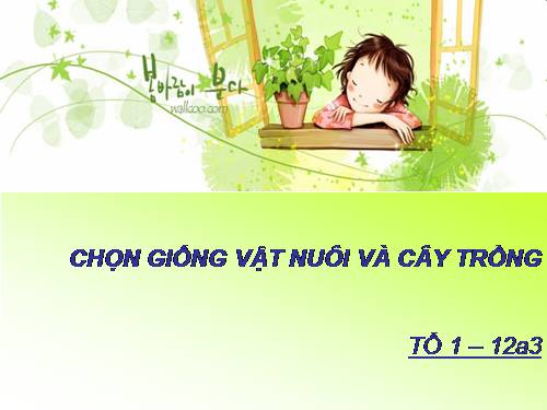 Bài 18. Chọn giống vật nuôi và cây trồng dựa trên nguồn biến dị tổ hợp