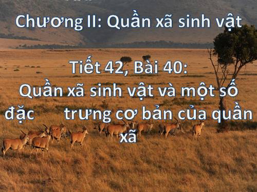 Bài 40. Quần xã sinh vật và một số đặc trưng cơ bản của quần xã