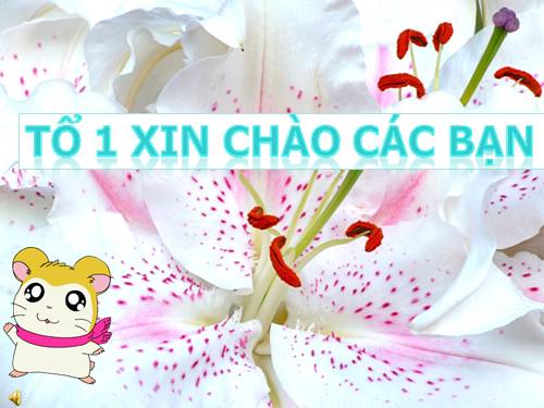 Bài 22. Bảo vệ vốn gen của loài người và một số vấn đề xã hội của di truyền học