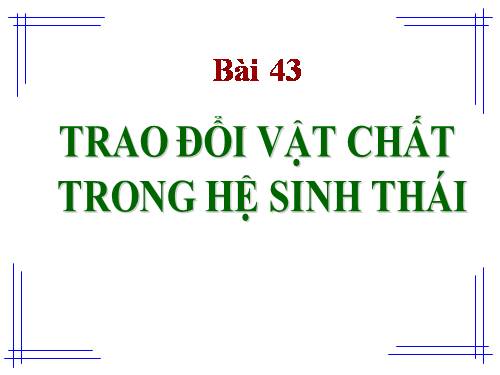 Bài 43. Trao đổi vật chất trong hệ sinh thái