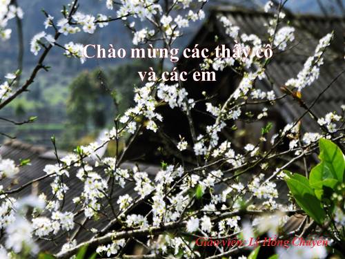 Bài 42. Hệ sinh thái