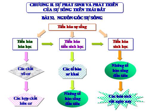 Bài 32. Nguồn gốc sự sống