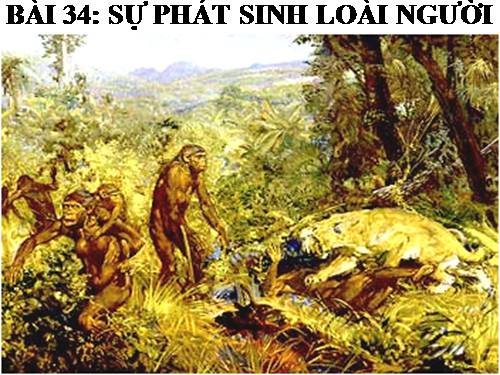 Bài 34. Sự phát sinh loài người