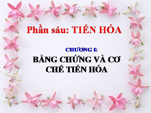 Bài 24. Các bằng chứng tiến hoá