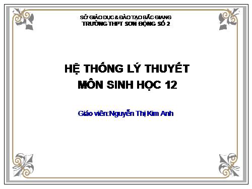 he thong ly thuyet sinh 12