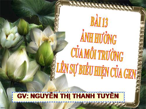 Bài 13. Ảnh hưởng của môi trường lên sự biểu hiện của gen