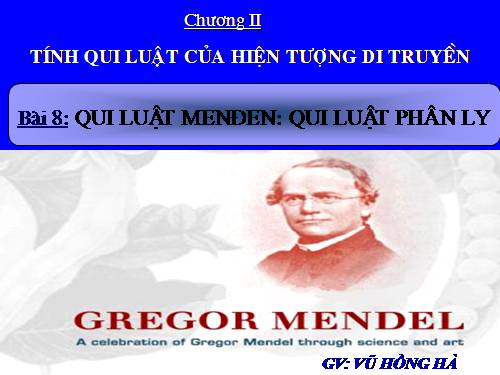 Bài 8. Quy luật Menđen: Quy luật phân li