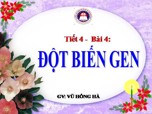 Bài 4. Đột biến gen