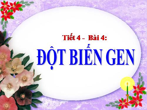 Bài 4. Đột biến gen