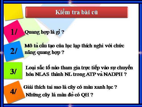 Bài 9. Quy luật Menđen: Quy luật phân li độc lập