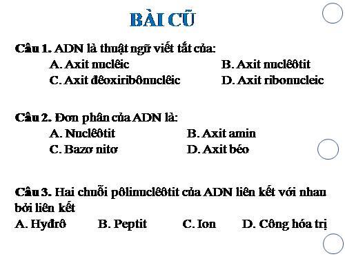 Bài 1. Gen, mã di truyền và quá trình nhân đôi ADN