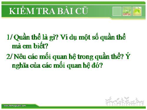 Bài 37. Các đặc trưng cơ bản của quần thể sinh vật