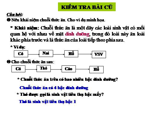 Bài 44. Chu trình sinh địa hóa và sinh quyển