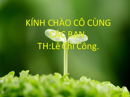 Thực trạng ô nhiễm nguồn nước ở Việt Nam (Bài hay, ảnh thực tế)