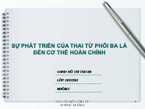 Bài 27. Quá trình hình thành quần thể thích nghi