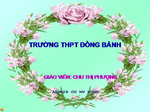 Bài 43. Trao đổi vật chất trong hệ sinh thái