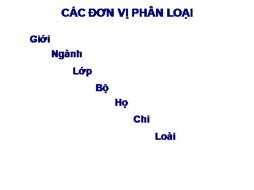 Bài 28. Loài