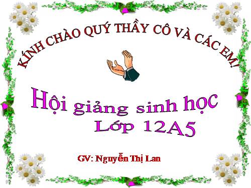 Bài 22. Bảo vệ vốn gen của loài người và một số vấn đề xã hội của di truyền học