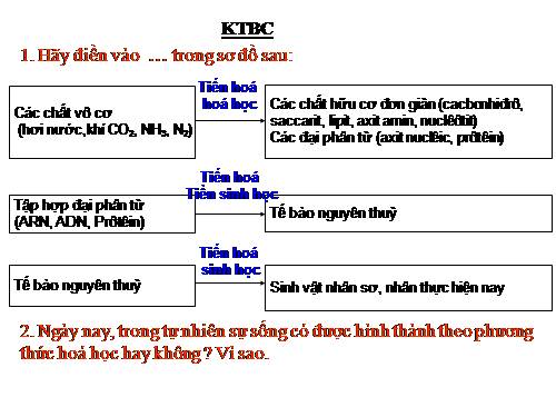 Bài 33. Sự phát triển của sinh giới qua các đại địa chất