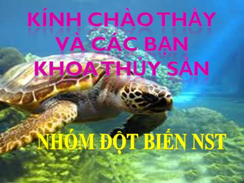 Bài 5. Nhiễm sắc thể và đột biến cấu trúc nhiễm sắc thể