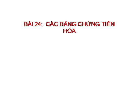 Bài 24. Các bằng chứng tiến hoá