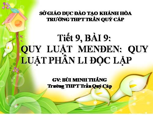 Bài 9. Quy luật Menđen: Quy luật phân li độc lập