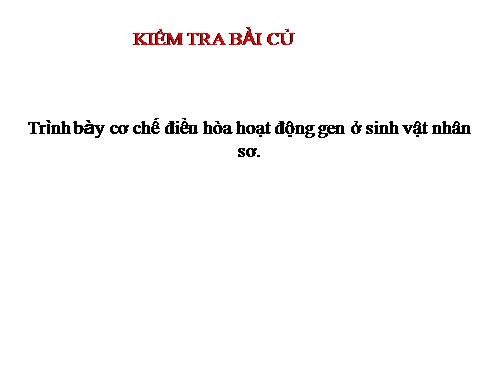 Bài 4. Đột biến gen