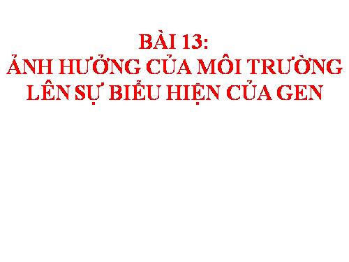 Bài 13. Ảnh hưởng của môi trường lên sự biểu hiện của gen