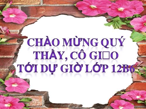 Bài 24. Các bằng chứng tiến hoá