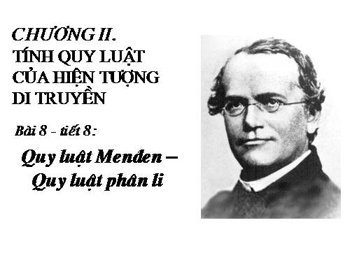 Bài 8. Quy luật Menđen: Quy luật phân li