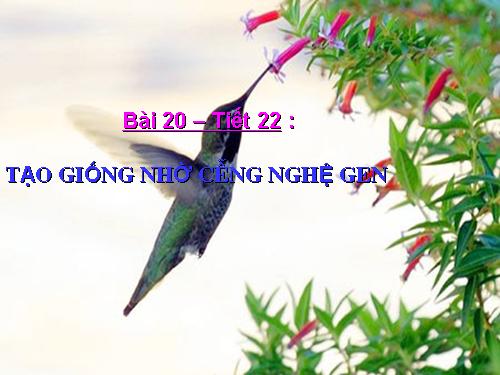 Bài 20. Tạo giống nhờ công nghệ gen