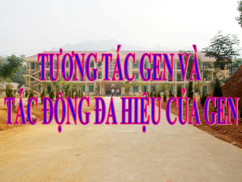 Bài 10. Tương tác gen và tác động đa hiệu của gen