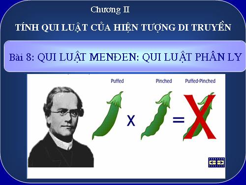 Bài 8. Quy luật Menđen: Quy luật phân li