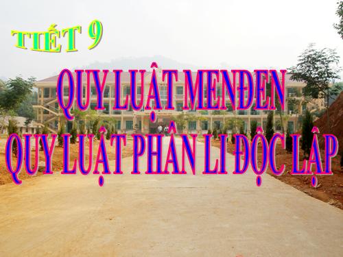 Bài 9. Quy luật Menđen: Quy luật phân li độc lập