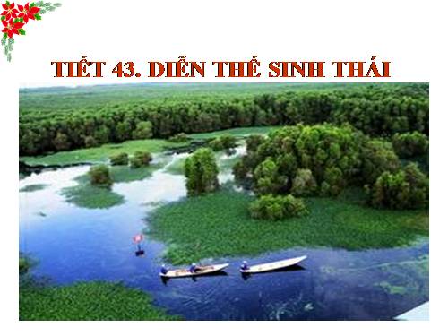 Bài 41. Diễn thế sinh thái